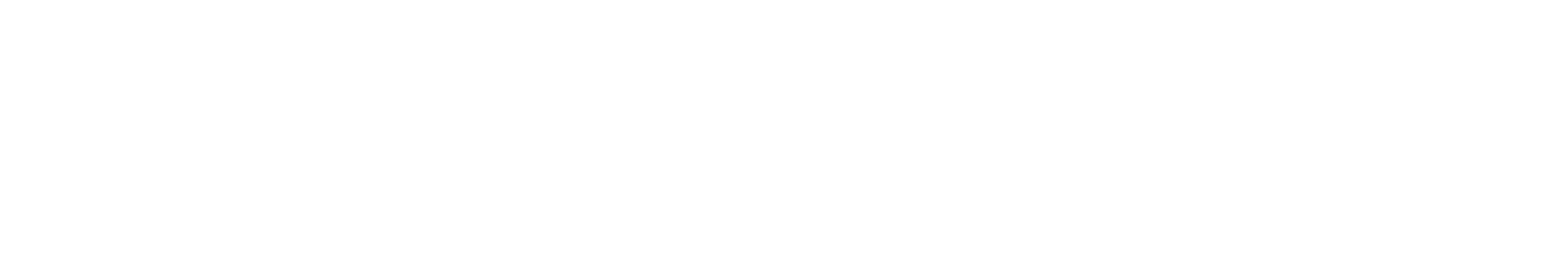 MegaMerchant